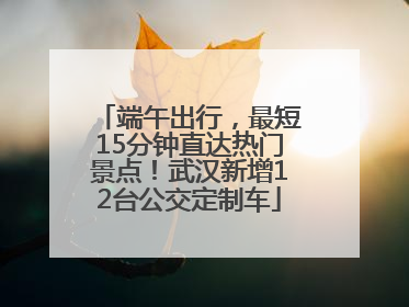 端午出行，最短15分钟直达热门景点！武汉新增12台公交定制车