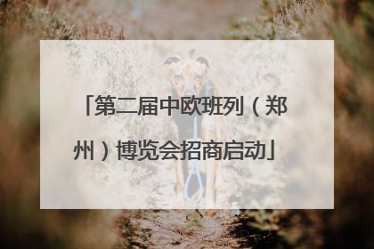 第二届中欧班列（郑州）博览会招商启动