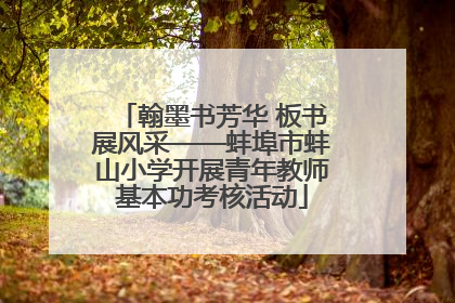 翰墨书芳华 板书展风采——蚌埠市蚌山小学开展青年教师基本功考核活动
