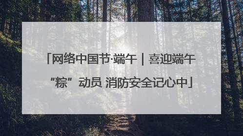 网络中国节·端午｜喜迎端午“粽”动员 消防安全记心中