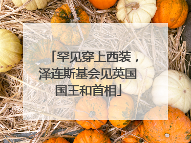 罕见穿上西装，泽连斯基会见英国国王和首相