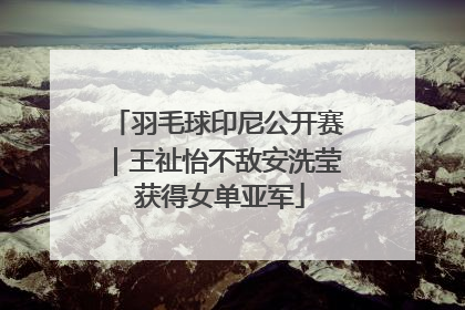羽毛球印尼公开赛｜王祉怡不敌安洗莹 获得女单亚军