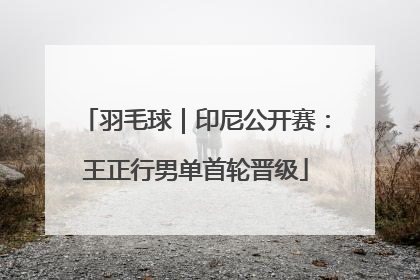 羽毛球｜印尼公开赛：王正行男单首轮晋级