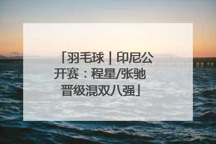 羽毛球｜印尼公开赛：程星/张驰晋级混双八强