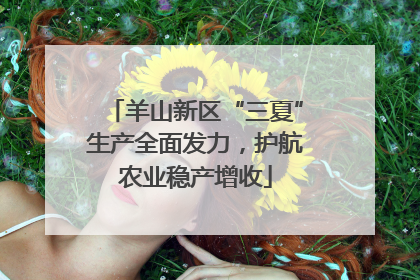 羊山新区“三夏”生产全面发力，护航农业稳产增收