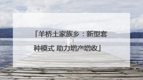 羊桥土家族乡：新型套种模式 助力增产增收
