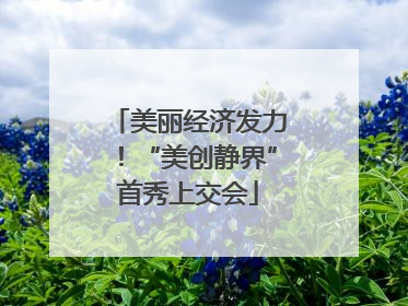 美丽经济发力！“美创静界”首秀上交会