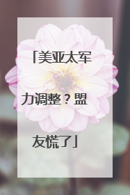 美亚太军力调整？盟友慌了