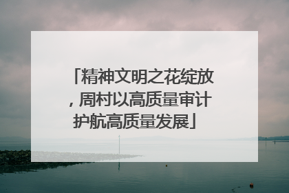 精神文明之花绽放，周村以高质量审计护航高质量发展