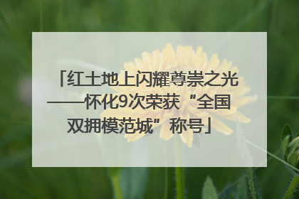 红土地上闪耀尊崇之光——怀化9次荣获“全国双拥模范城”称号
