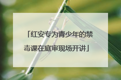 红安专为青少年的禁毒课在庭审现场开讲