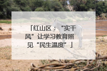 红山区：“实干风”让学习教育照见“民生温度”