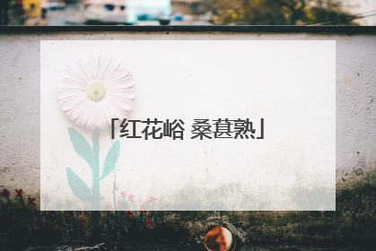 红花峪 桑葚熟