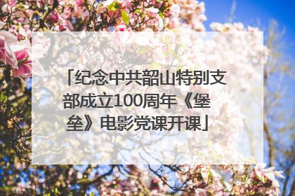 纪念中共韶山特别支部成立100周年《堡垒》电影党课开课