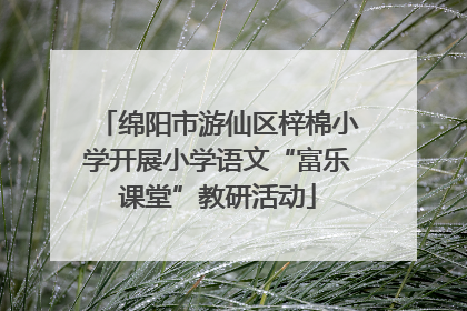绵阳市游仙区梓棉小学开展小学语文“富乐课堂”教研活动
