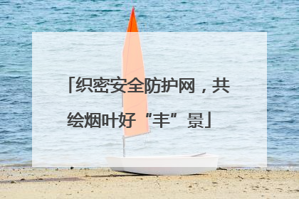 织密安全防护网，共绘烟叶好“丰”景