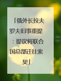 俄外长拉夫罗夫旧事重提：提议将联合国总部迁往索契