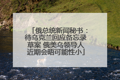 俄总统新闻秘书：待乌克兰回应备忘录草案 俄美乌领导人近期会晤可能性小