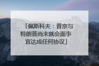 佩斯科夫：普京与特朗普尚未就会面事宜达成任何协议