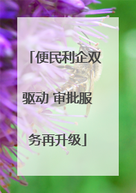 便民利企双驱动 审批服务再升级