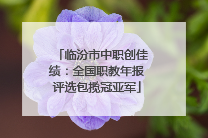 临汾市中职创佳绩：全国职教年报评选包揽冠亚军