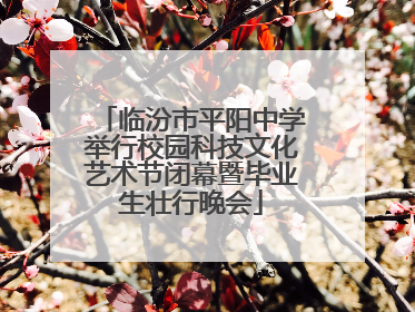 临汾市平阳中学举行校园科技文化艺术节闭幕暨毕业生壮行晚会