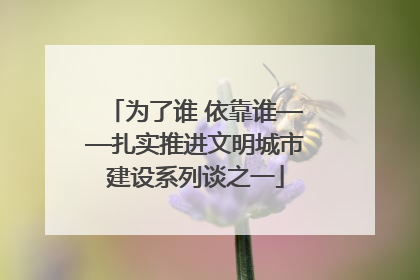 为了谁 依靠谁——扎实推进文明城市建设系列谈之一