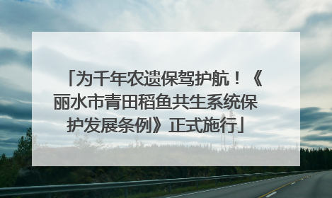 为千年农遗保驾护航！《丽水市青田稻鱼共生系统保护发展条例》正式施行