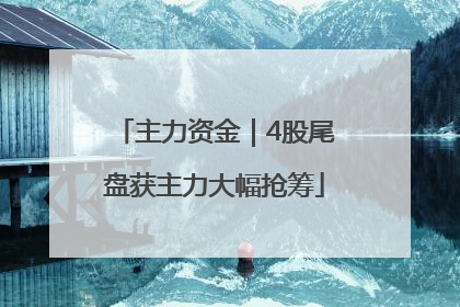 主力资金｜4股尾盘获主力大幅抢筹