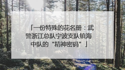 一份特殊的花名册：武警浙江总队宁波支队镇海中队的“精神密码”