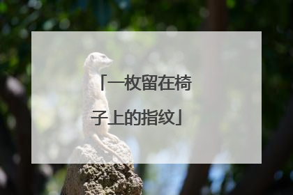 一枚留在椅子上的指纹