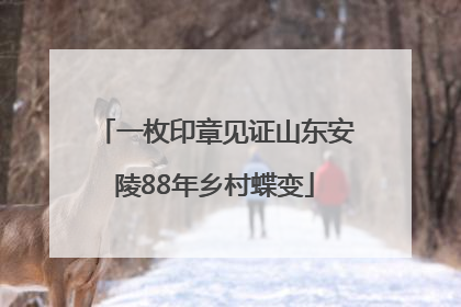 一枚印章见证山东安陵88年乡村蝶变