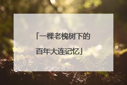一棵老槐树下的百年大连记忆