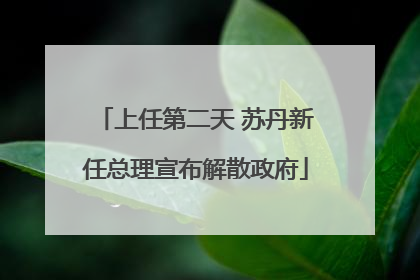 上任第二天 苏丹新任总理宣布解散政府