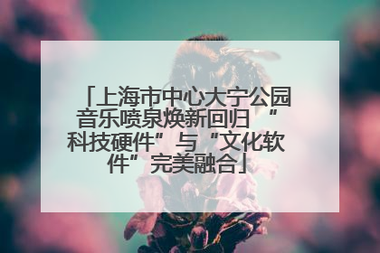 上海市中心大宁公园音乐喷泉焕新回归 “科技硬件”与“文化软件”完美融合