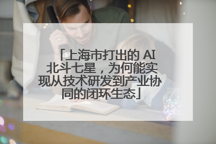 上海市打出的 AI 北斗七星，为何能实现从技术研发到产业协同的闭环生态
