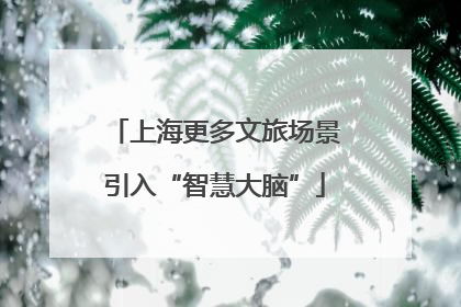 上海更多文旅场景引入“智慧大脑”