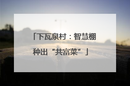 下瓦泉村：智慧棚种出“共富菜”