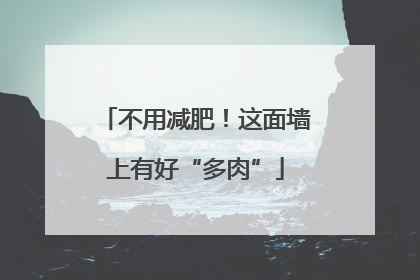 不用减肥！这面墙上有好“多肉”