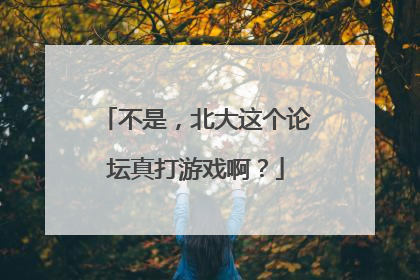 不是，北大这个论坛真打游戏啊？