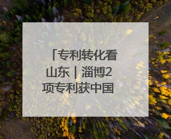 专利转化看山东｜淄博2项专利获中国专利优秀奖