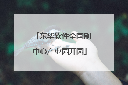 东华软件全国副中心产业园开园