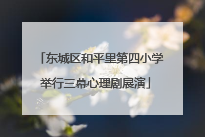 东城区和平里第四小学举行三幕心理剧展演