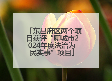 东昌府区两个项目获评“聊城市2024年度法治为民实事”项目