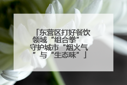 东营区打好餐饮领域“组合拳” 守护城市“烟火气”与“生态味”