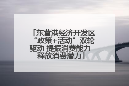 东营港经济开发区“政策+活动”双轮驱动 提振消费能力 释放消费潜力