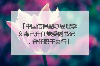 中国信保副总经理李文森已升任党委副书记，曾任职于央行