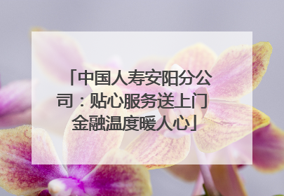 中国人寿安阳分公司：贴心服务送上门 金融温度暖人心