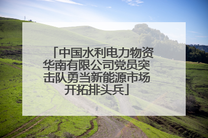 中国水利电力物资华南有限公司党员突击队勇当新能源市场开拓排头兵