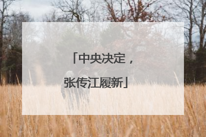 中央决定，张传江履新